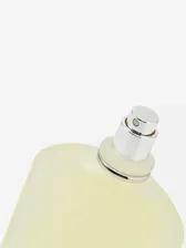 Парфюмерная вода Tom Ford Grey Vetiver 100 ml Tom Ford P-Grey Vetiver, код 38802