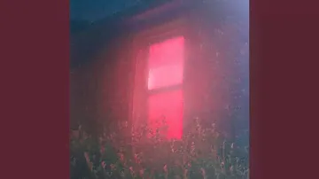 Velvet Light